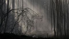 Zona calcinada debido a un incendio 