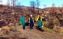 Los colaboradores se organizan en grupos de diez y siguen las indicaciones que les dan los t�cnicos de Louriz�n.