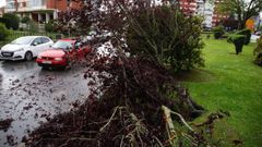 �LBUM: Los efectos de la tormenta del cuatro de mayo