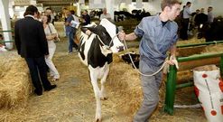 El gobierno local espera recuperar la feria ?en la imagen, el pasado a�o? de cara al 2013.