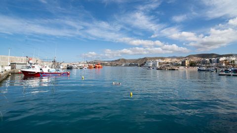 Puerto de Las Palmas
