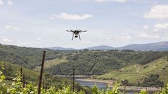 Un dron volando sobre un vi�edo en Galicia