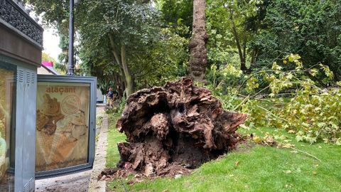 Campo de San Francisco