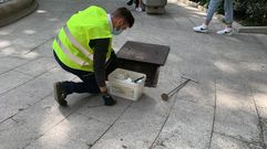 Trabajos de control de la presencia de ratas en el parque de San L�zaro