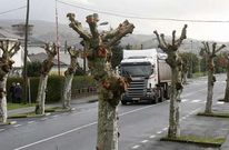 Imagen de una calle del poblado, que Endesa deber� mejorar seg�n el convenio de la cesi�n.
