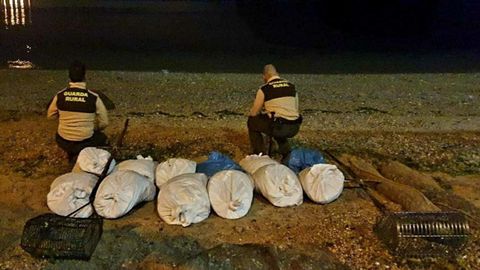 Imagen de una incautaci�n r�cord en Cabo, con m�s de 500 kilos de cr�a de almeja