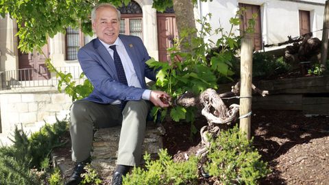 José Tomé ao lado dunha das vides da cepa de Amandi, na praza de España de Monforte de Lemos