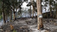 El humo del incendio de Vilanova alerta a toda la comarca
