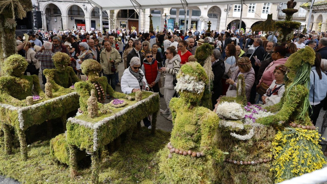 Crece La Tradicional Festa Dos Maios Y Llena Las Calles De Ourense crece-la-tradicional-festa-dos-maios-y-llena-las-calles-de-ourense