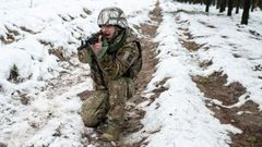 Un soldado ucraniano, durante un ejercicio militar en la regi�n de Zitomyr