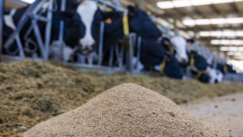 El pienso fue uno de los insumos que m&aacute;s subi&oacute; de precio, denuncia Uni&oacute;ns Agrarias