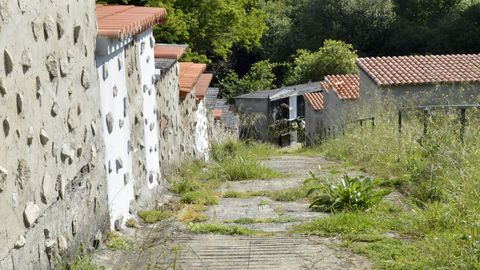 Los �rboles est�n empezando a echar ra�z en los tejados de los nichos.