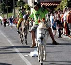 La carrera de burros volver� esta tarde a Ameixenda.