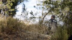 Un miembro de los Agentes Rurales de la Generalitat patrulla la zona cero de la PPA, donde continuar�n las restricciones