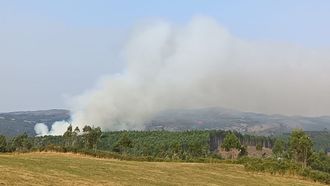Uno de los focos del incendio que est causando una humareda