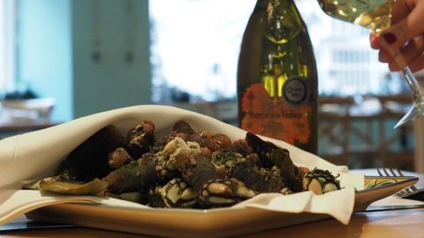 Maridaje con Marqu�s de Vizhoja