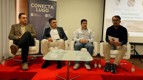 Debate sobre el futuro de Viveiro