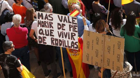 Manifestacin en Alicante.