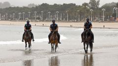 A caballo en la playa para perros
