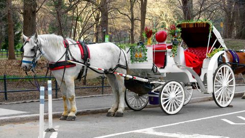 Un carruaje de caballos en Central Park, en Nueva York, en una imagen de archivo
