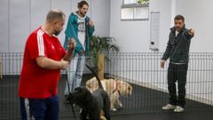 Clase de socializaci�n en la academia M�todo Guau