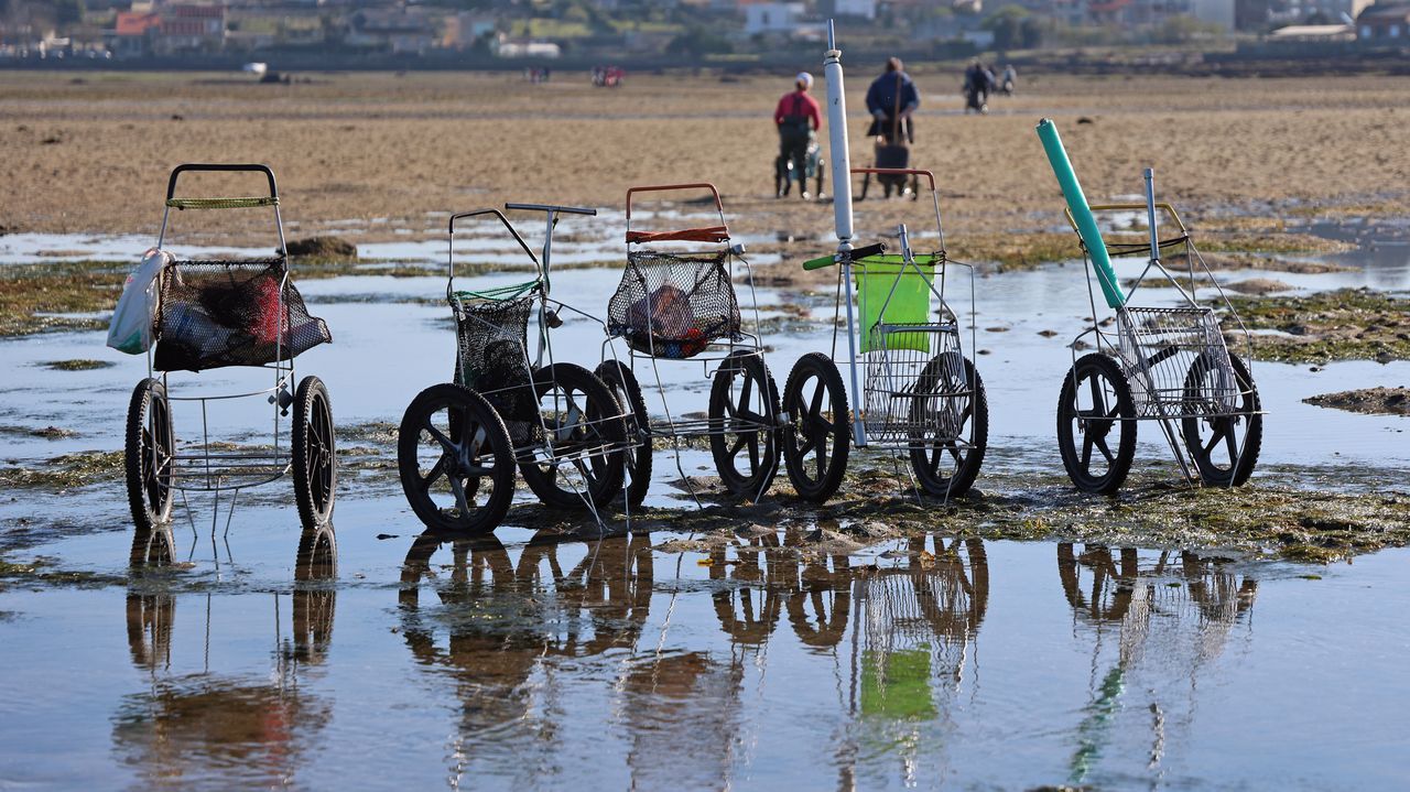 Cofradías de Pontevedra piden al ISM que exima de pagar la Seguridad Social a las mariscadoras de a pie sin ingresos