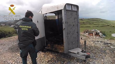 Investigaci�n de la Guardia Civil en una explotaci�n ganadera de Goz�n