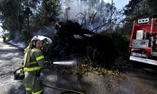 Las brigadas municipales colaborar�n en las labores de extinci�n de incendios forestales.