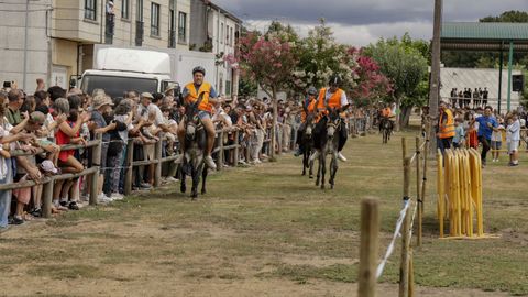 La carrera de burros pone fin a las fiestas de Escair�n