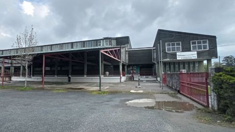 Charcos, grietas y caída de cascotes en el colegio de A Gándara (Narón)