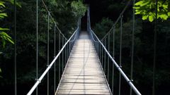 Puente colgante encima del r�o en las Fragas do Eume, A Coru�a