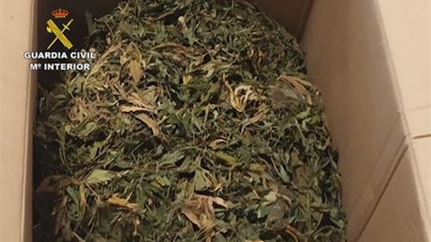 Marihuana incautada por la Guardia Civil