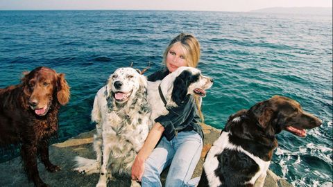 Bardot entreg� parte de su vida a la defensa de los animales