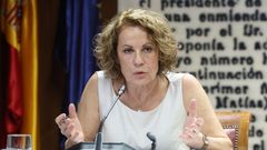 La exdirectora general de la Agencia Estatal de Administraci�n Tributaria (AEAT), Soledad Fern�ndez Doctor, comparece en el Senado.