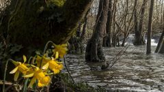 �rea natural protegida del r�o Cabe