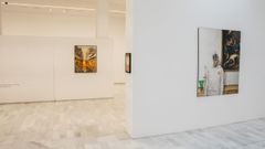 La exposici�n organizada por la Fundaci�n Cum Laude puede visitarse en la sala Valente.