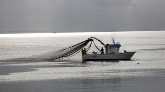 Barco de pesca en la r�a de Arousa