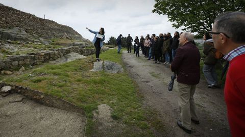 Visitas guiadas al castro de Elvia