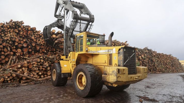 Las plantas de biomasa ya empiezan a extenderse por Galicia
