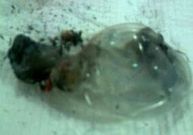 Imagen del objeto hallado por los vecinos de Mallou.