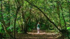 Paseo por el r�o do Aceiteiro, en el municipio de San Sadurni�o