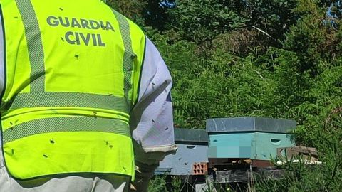 Algunas de las colmenas que fueron recuperadas por los agentes de la Guardia Civil