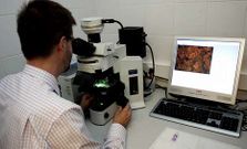 En Anatom�a Patol�gica del Cl�nico ejercen 54 profesionales, la mayor�a m�dicos y t�cnicos.