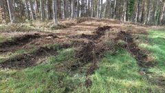 Da�os en la necr�polis de Lagorzos, en Becerre�