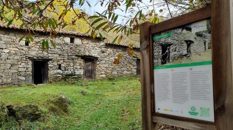 A mediados del siglo pasado, Os Sequeiros se llenaban de vida por el castaal