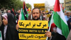 Un hombre sostiene una pancarta en Teher�n (Ir�n) durante una protesta a favor de Palestina mientras contin�an los combates entre las tropas israel�es y los militantes islamistas de Ham�s.
