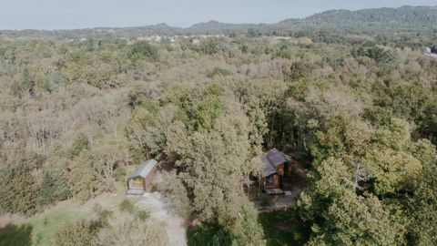 Las cabañas están en medio del bosque