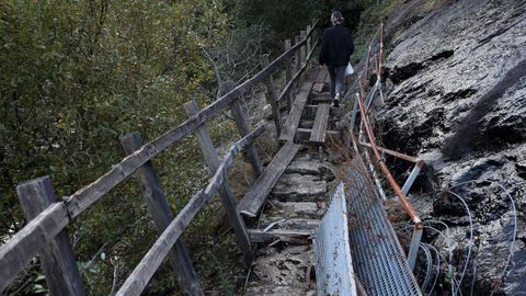 REPORTAJE SOBRE LA SENDA PEATONAL DEL RÍO TAMBRE
