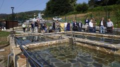 Área termal de O Bañiño, en Punxín
