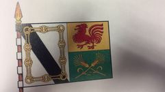 Imagen de la bandera oficial de Xinzo de Limia